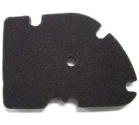 Vespa OEM Premium Air Filter Sponge for GT, GTS and GTV 125cc - 300cc Original Air Filter Sponge Imported from Italy 831997, 8319970P