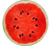 Vessia Watermelon Printed Throw Blanket, 60 inches Realistic Funny Round Food Blanket for Adults and Kids, 300GSM Novelty Fruits Throw for Couch, Sofa, Bed, Fun Home Decor for All Seasons