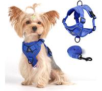 Vest Harness Leash Set for Small Dog Large Cat, Upgraded Escape Proof Adjustable Jacket with Lead for Puppy Fat Cat Outdoor Walking, Soft Breathable Mesh Coat with Reflective Strip XL Blue