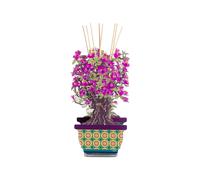 VESTA small Magnolia Bonsai diffuser - Purple One Size