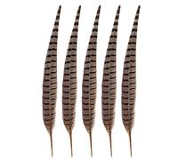 Vestamore 5 Pcs Pheasant Feathers, 15.7-17.7 in / 40-45 cm Natural Male Ringneck Tail Feathers, for DIY Crafts, Decoration, Dance, Cat Toys