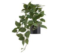 Vestamore Home Decor for, Realistic Leaves Printed, Faux Watermelon Peperomia Draping Plant with Pot, Green Vibrant Design, Plants Silk Artificial, Decoration Tabletop
