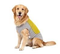 Vests Cooling Dogs, Breathable Adjustable Jacket with Ice Bag Pocket, Summer Accessory for Small Medium Large Breeds, Reliable Gear for Beach Play Walking Picnic Park Outing