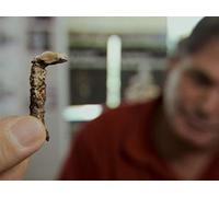 Vesuvius & The Fear of God