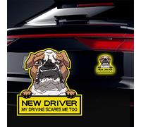 Vesvory 2pcs Reflective Dog Sticker New Driver Sticker for Cars My Driving Scares Me Too Sticker Funny Bulldog Puppy Student Driver Bumper Window Sticker (Yellow)
