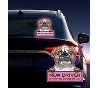 Vesvory 2pcs Reflective Dog Sticker New Driver Sticker for Cars "My Driving Scares Me Too Sticker" Funny Bulldog Puppy Student Driver Bumper Window Sticker (Pink)
