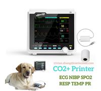 VET Capnograph etCO2 Veterinary Vital Signs Patient Monitor 7 parameter Printer