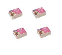 Vet Iodised Condition Pack for Caged Birds - Iodine, Calcium & Seaweed Blend for Gut Balance & Daily Care - For Budgies,Parrots,Finches-Chunk Format - Pack of 1, 2, 3, 4, 5, 6, 8, or 10_Pack Of 4