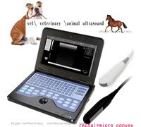 VET Veterinary Notebook Laptop Ultrasound Scanner+rectal linear+micro convex