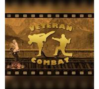 Veteran Combat (PC) Steam Key - GLOBAL
