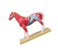 Veterinary Anatomy Teaching Figure with Cutaway Organ Detail and Display Base for Acupoint Study Lesson Guide Use Veterinary Anatomy Model Animal Acupoint Study Teaching Figure Classroom Training Base