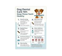 Veterinary Office Decor Dog Care Informational Poster Canvas Wall Art Guide for Pet Clinic Home(Framed,16x24inch(40x60cm))
