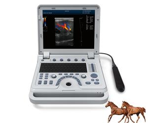 Veterinary Ultrasound Scanner Color Doppler Diagnostic Machine Horse Cow Dog Cat
