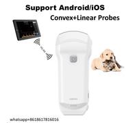 Veterinary Ultrasound Scanner Handheld Wireless Machine Dual-probe Color Doppler