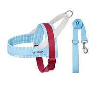 VETRESKA Dog Harness and Leash Set, Puppy Harness Adjustable, Easy Control No Choke Dog Harness for Small, Medium Dogs, Cats, Kitten, Dog Vest Harness with Anti-Tangle Leash, Misty Melo S