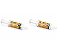 VetSet RechargeR | Horse Paste Electrolytes | Fast-Acting Equine Electrolyte Formula for Rehydration & Recovery | Restores Energy, Salts & Minerals After Exercise (30ml Syringe, Pack of 2)