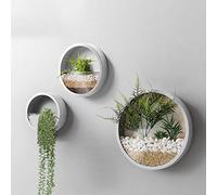 VEVLU 3 Pack Set Wall Planters,Modern Round Glass Wall Planter Succulent Planter Circle Iron Hanging Planter Vase for Herb,Small Cactus Perfect for Balcony, Room and Patio Decor (White)