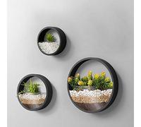 VEVLU 3 Pack Set Wall Planters,Modern Round Glass Wall Planter Succulent Planter Circle Iron Hanging Planter Vase for Herb,Small Cactus Perfect for Balcony, Room and Patio Decor (Black)
