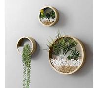 VEVLU 3 Pack Set Wall Planters,Modern Round Glass Wall Planter Succulent Planter Circle Iron Hanging Planter Vase for Herb,Small Cactus Perfect for Balcony, Room and Patio Decor (Gold)