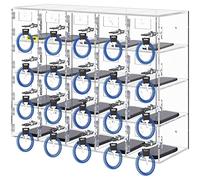 VEVOR Cell Phone Storage Locker, 20 Slots Acrylic Material with Door Locks and Keys, Wall-Mounted Cabinet Pocket Office Classroom Gym Box, Clear