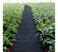 Vevor Weed Barrier Landscape Fabric 5.8 Oz 4 Ft X 300 Ft Heavy Duty Woven Grass Control Geotextile Black For Garden Patio