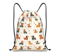 Vexilon Dachshund Drawstring Bags, Waterproof Draw String Bag for Kids, Adults, Lightweight Drawstring Backpack, Personalised Dachshund Gifts for Swim, Gym, Travel (16x13in)