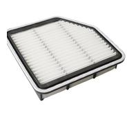 Vexilon Engine & CARBONIZED Cabin Air Filter, for Lexus, GS350 GS430 IS250 IS350 Car Cabin Air Filter Replacement(17801 31110)