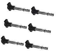 Vexilon Ignition Coil 4/6pcs Uf411t 06a905115a Coils, for VW, for Bora, for Golf, for Passat, for Phaeton, for Touareg, 06a905115c Ignition Coil(BLACK Onecolor)