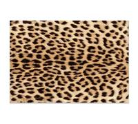 Vexthorion Leopard-print carpet,Premium Leopard Fluffy Rugs,Girls Room Decor Cheetah Print, Small for Dorm Apartment Foyer Entryway,Mat Animal Living Room Rugs Bedroom Decor (Light color2)