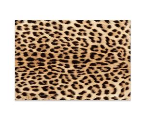 Vexthorion Leopard-print carpet,Premium Leopard Fluffy Rugs,Girls Room Decor Cheetah Print, Small for Dorm Apartment Foyer Entryway,Mat Animal Living Room Rugs Bedroom Decor (Light color2)