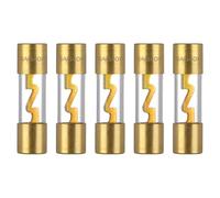 VEXUNGA 40A AGU Car Fuse Gold Plated 40 Amp Auto Audio Fuses Glass Tube for Automotive Stereo Power Protection (Pack of 5Pcs)