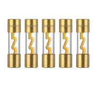 VEXUNGA 60A AGU Car Fuse Gold Plated 60 Amp Auto Audio Fuses Glass Tube for Automotive Stereo Power Protection (Pack of 5Pcs)
