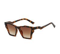 VFDHN Luxury Leopard Print Gradient Women Sunglasses Contrast Color Frame Casual Men Uv400(6244-C3)