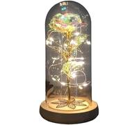 VFdthR Glass Rose Glass Rose, Forever Magic Eternal 24K Gold Foil Flower Dome Fairy String Lights Christmas Valentine's Day Mother's Gift(036)