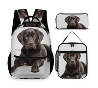 VFKLT 3 Pcs Backpack Set Dog Travel Bag Portable Casual Daypack Sports Backpacks with Lunch Box Pencil Case, Dog, One Size, Rucksack Backpacks