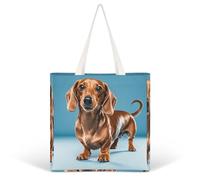 VFKLT Dachshund Weiner Pet Dog Tote Bags for Women Canvas Handbag Reusable Grocery Bags Shoulder Purses Shopping Bag, Dachshund Weiner Pet Dog, One Size