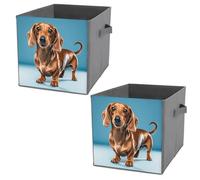 VFKLT Folding Storage Bins, Cute Dachshund Weiner Pet Dog Printed Storage Boxes Cube Storage Organizer Large Capacity Home Multi Functional Storage Box for Bedroom Living Room Office 2PCS