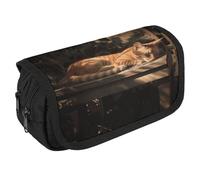 VFKLT Orange Cat Sleeping Pencil Case Double Layer Pencil Pouch Large Capacity Pencil Bag Double Zipper Portable Pen Case Makeup Bag for Men Women Travel Business Office