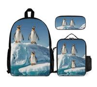 VFKLT Penguins On The Iceberg Backpack with Lunch Box Pencil Case 3 Piece Set Travel Bag Casual Daypack Laptop Backpack, White, One Size, Travel Backpacks