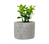 VFM - Artificial Plant Large Square Indoor Potted Plastic Small Succulents Faux Plants for Office Desk Bedroom Kitchen House Decoration - 11. 6cm Grey
