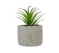 VFM - Artificial Plant Triangle Indoor Potted Plastic Small Succulents Faux Plants for Office Desk Bedroom Kitchen House Decoration - 11. 6cm Grey