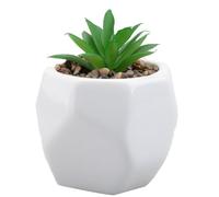 VFM - Artificial Plant White Indoor Potted Pot Plastic Small Succulents Faux Plants for Office Desk Bedroom Kitchen House Decoration - 12. 1cm White
