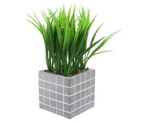VFM e-Store Artificial Plant Pot Grass Modern Cement with Grey VFM e-Store Grey