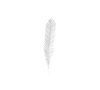 VFM e-Store Glitter Fern Picks Christmas Decoration Ornament X 1 58cm White VFM e-Store White