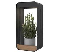 VFM e-Store Solar Wall Light & Planter Warm White Light Decorations 16cm x 34cm White X 1 | Size: 16 cm x 34 cm VFM e-Store White 16 cm x 34 cm