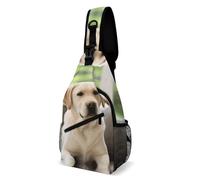 VFMKT Cute Labrador Dog Sling Bag Waterproof Lightweight Crossbody Chest Bag Casual Travel Hiking Daypack for Women Men, Style, 38x20cm