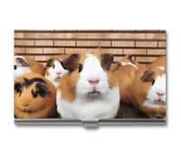 VFMKT Slim Metal Business Card Holder Portable Business Card Case Pocket Name Card Holder Guinea Pigs Wallet for Men Women Office Travel, style, One Size