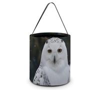 VFMKT Snow Owl Halloween Trick Or Treat Bag Reusable Halloween Candy Bucket Candy Bag Grocery Bags with Handles for Halloween Party Supplies Favors, Style, One Size
