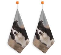 VFMNT Hand Towels Sets 2PCS Border Collie Washcloth with Hanging Loop Soft Face Towels Absorbent Quick Dry Kitchen Towel Dish Cloth for Bathroom Kitchen 11.8x11.8 Inch