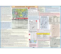 VFR NAVIGATION PLANNING, W&B, TAKEOFF DISTANCE POSTER - 70 cm x 50 cm - Visualized Reference Poster for Flight Training, Pilot Training and Aviation Enthusiasts